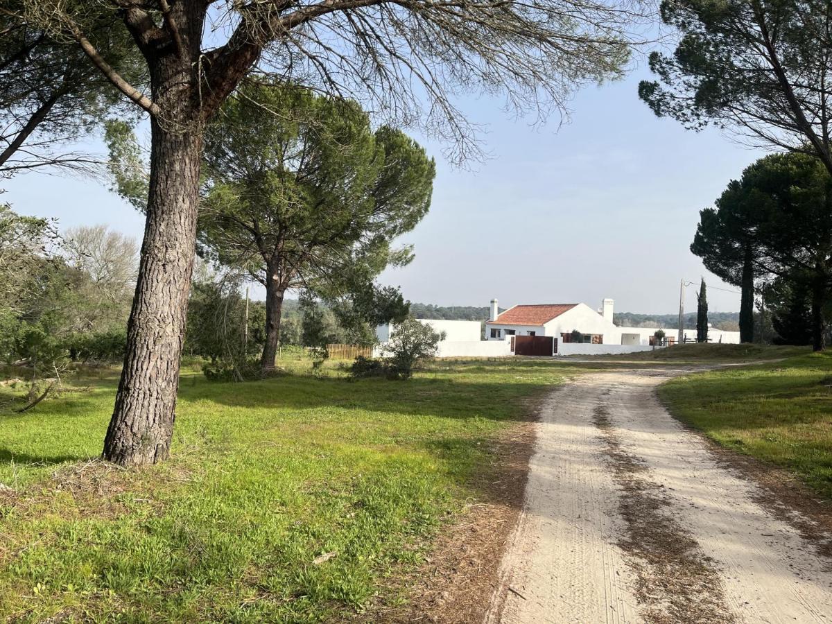 몬테모르오노보 Fazenda Do Pomar By Trip2Portugal 빌라 외부 사진